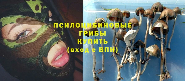 ГАЛЛЮЦИНОГЕННЫЕ ГРИБЫ Алзамай