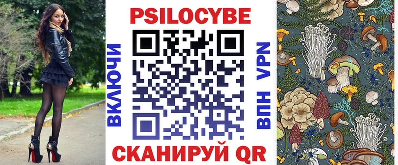 закладки  Жиздра  Галлюциногенные грибы GOLDEN TEACHER 