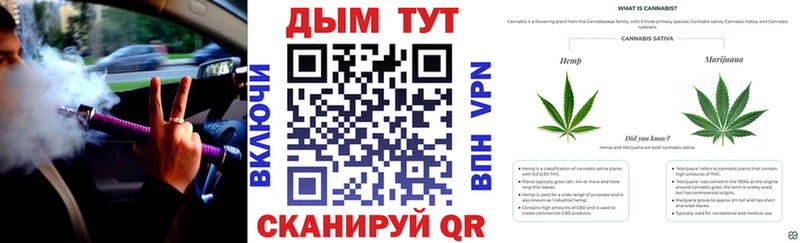 KRAKEN ССЫЛКА  купить закладку  Жиздра  Каннабис AK-47 